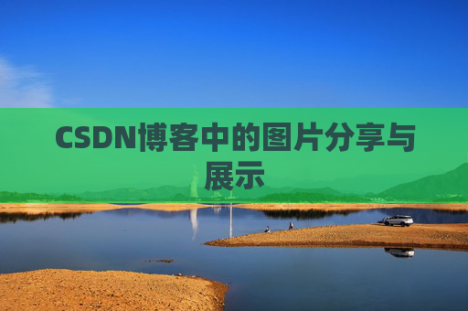CSDN博客中的图片分享与展示